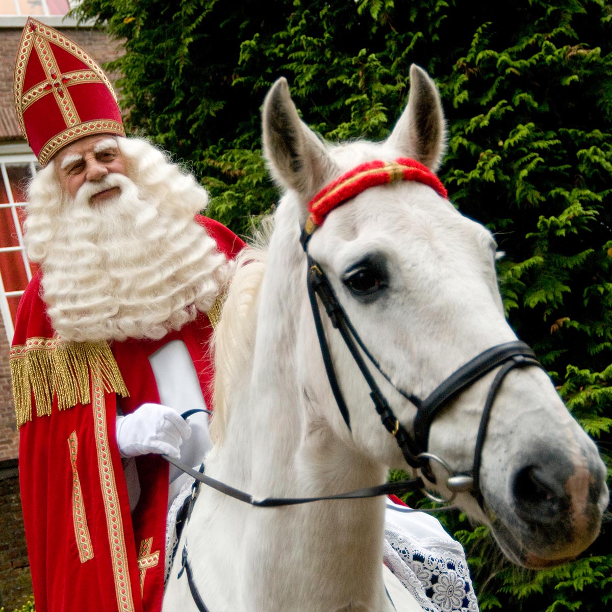 Sint op de markt